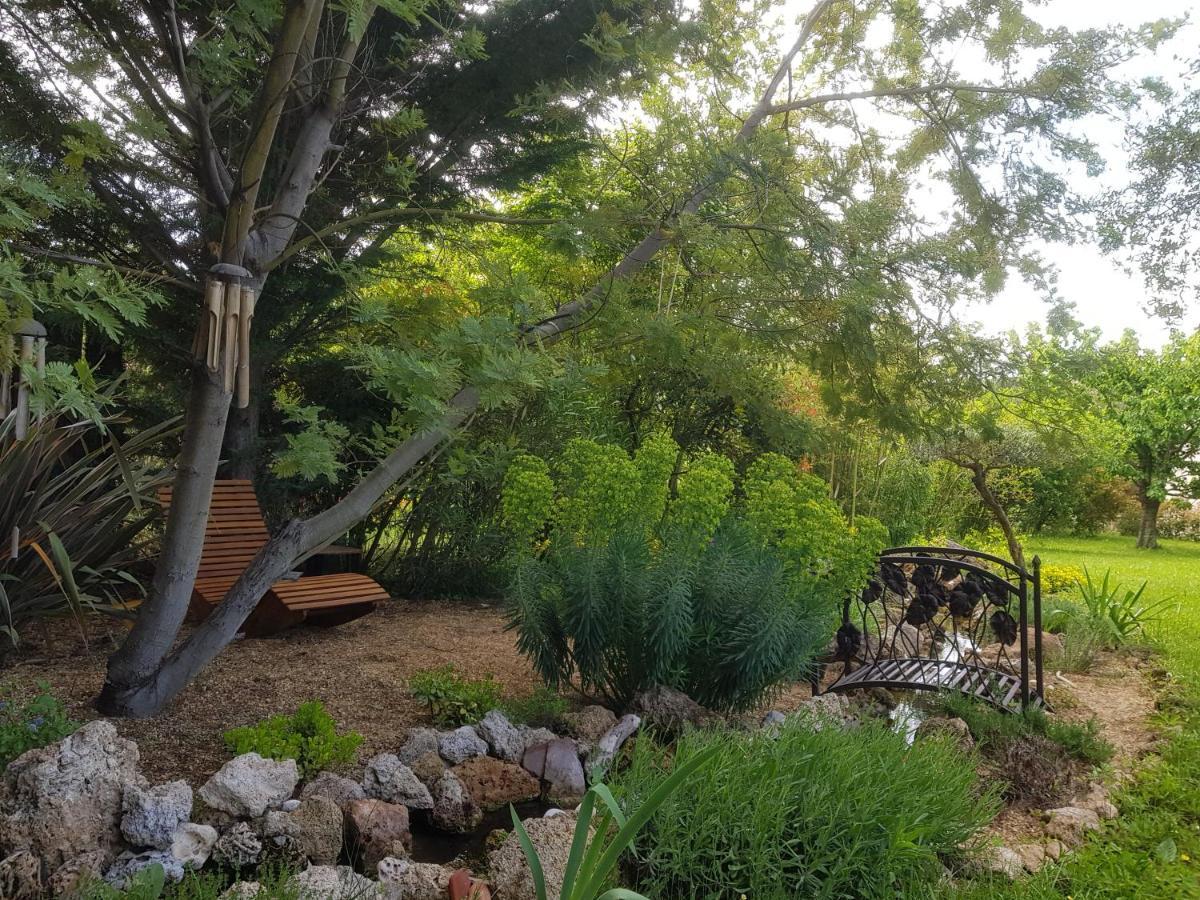סאלרן Maison Mimosa מראה חיצוני תמונה