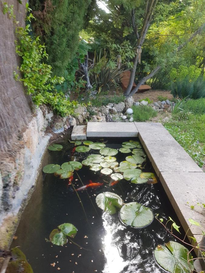 סאלרן Maison Mimosa מראה חיצוני תמונה