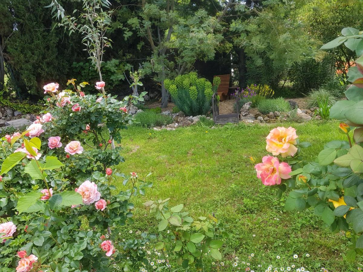 סאלרן Maison Mimosa מראה חיצוני תמונה
